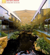 Thiết kế hồ cá Koi sân vườn hiện đại nhất Đồng Nai, Hcm.
