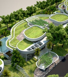 Thiết kế thi công sân vườn cảnh quan hiện đại ở TPHCM, Đồng