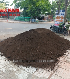 Đất màu trồng cây sạch, đất phù sa giá rẻ ở Đồng Nai, HCM