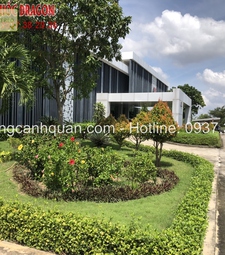 Chăm sóc cây xanh bảo dưỡng sân vườn Đồng Nai, HCM