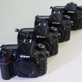 Bán Body Nikon DSLR nhiều loại: D800e, D7100, D7000, D90, D5200...