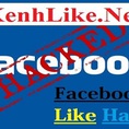Giới thiệu Website Like Facebook Miễn phí 100%