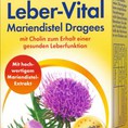 Leber vital thuốc hỗ trợ điều trị Gan, bổ gan, sơ gan, gan nhiễm mỡ