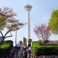 Du lịch hàn quốc haeundae everland