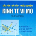 Bài tập kinh tế vi mô Câu hỏi Bài tập Trắc nghiệm Kinh tế vi mô