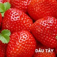 Dâu tây Hàn Quốc chào đón Giáng sinh 2016 Klever Fruits