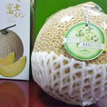 Dưa lưới Nhật Fuji Melon