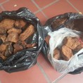 Nấm Chaga từ Siberia thần dược chữa tiểu đường