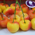 Cherry vàng Mỹ Kim cương của các loại hoa quả tại Klever Fruits