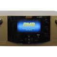 Amply Karaoke BMB DAS 300SE