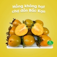 Hồng không hạt chợ đồn Bắc Kạn 100gram