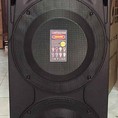 Loa kéo di động Jarguar Suhyoung TX 186 bass đôi