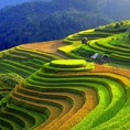 Tour Sapa 2 Ngày 1 Đêm Săn Mây Y Tý Sắc màu phiên chợ Mường Hum