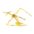 Mô hình kim loại gold lắp ghép Hóa Thạch Pteranodon