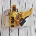 Giày Adidas Human Race