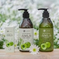 Gội đặc trị rụng tóc Amla