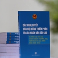 Các Nghị Quyết của Hội đồng thẩm phán Tòa án nhân dân tối cao về hình sự, dân sự, hành chính, thương mại, hôn nhân gia