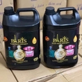 Nước giặt Paris 5 in 1 5 lít