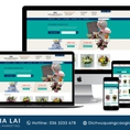 Báo giá dịch vụ thiết kế website tại Pleiku Gia Lai