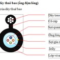 Dây cáp quang 2fo ống lỏng