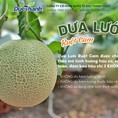 Dưa lưới Đức Thành ruột cam