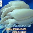 Mực Nang tươi size trung 5 8 con/Kg giá tốt nhất TpHCM, tươi ngon, đảm bảo an toàn vstp