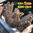 Cua Kingcrab sống nhập khẩu giá sốc