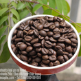 Cà phê Robusta rang mộc pha phin giá ưu đãi tại Hồ Chí Minh