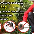 Vì Sao Diệt Mối Hoài Không Hết