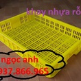 Cung cấp sọt nhựa đựng rau củ trong các siêu thị tại miền bắc, khay nhựa đựng nông sản