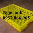 Khay nhựa đựng rau củ trong siêu thị tại hà nội, sóng nhựa hở, sọt nhựa rỗng