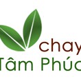 GIÒ NẤM CHAY