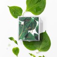 Mặt Nạ Dưỡng Da Surepi Get leaf Twin Pad Pack: Những dấu hiệu cảnh báo da đang xuống cấp