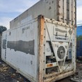 Container lạnh cấp đông cơm sầu riêng