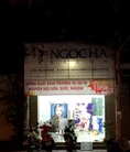 Salon Ngocha