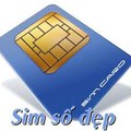 Sim 10 số vina và sim sinh viên 10 số