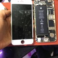 Sửa iphone 7 ko có dịch vụ ,ko có sóng ,ko nhận sim