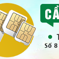 Cầm sim số đẹp Hà Nội có ưu, nhược điểm gì