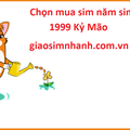 Cách để sở hữu những chiếc sim năm sinh 1999 đẹp giá rẻ nhất