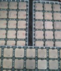 Hình ảnh: Xả 200 Chu Cpu Socket 775,1155