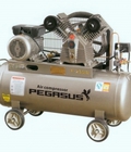 Hình ảnh: Máy nén khí pegasus TM W 1.0/8 500L