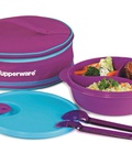 Hình ảnh: Hộp cơm Crystalwave Lunch Set