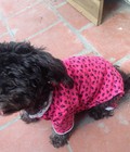Hình ảnh: pyjama cho cún