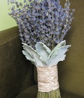 Hình ảnh: Hoa khô Lavender