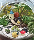 Hình ảnh: Terrarim - Nghệ thuật trồng cây trong lọ thủy tinh