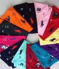 Hình ảnh: Chipi.vn chuyên sỉ, lẻ áo thun nữ cao cấp thương hiệu Polo xuất khẩu giá tốt nhất trên thị trường