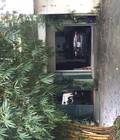 Hình ảnh: Bán nhà trong ngõ gần ngã tư Tố Hữu Vạn Phúc , Nam từ liêm