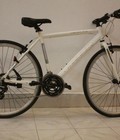 Hình ảnh: Xe đạp Nhật cũ giá rẻ nhất thị trường Giant, Precision, Land Gear,...