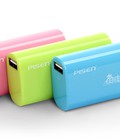 Hình ảnh: SDP Pisen 2500 mAh