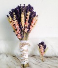 Hình ảnh: Bó Hoa Khô Lavender (Oải Hương)
